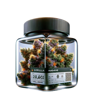 Gorilla Mandarine