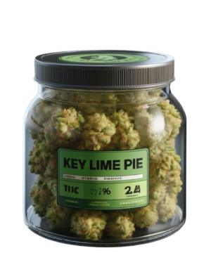 Jar of Key Lime Pie cannabis buds