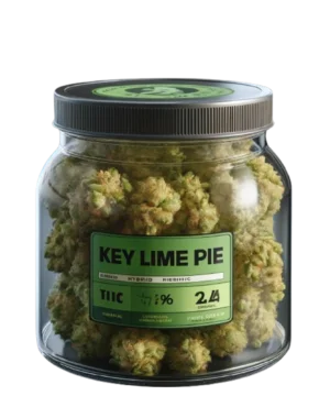 Key Lime Pie Cannabis Buds - Preview Jar of Key Lime Pie cannabis buds